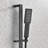 Wall Mounted Shower System with Bodysprays