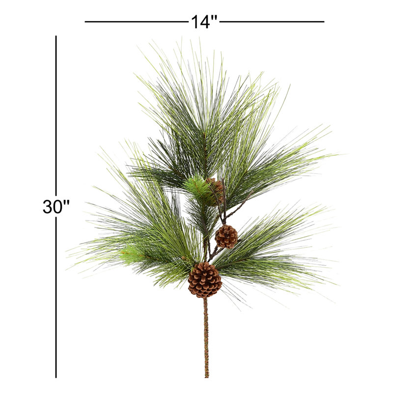 Jet de pin Boulder