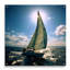 Voilier solitude Photo II - art mural moderne en acrylique-1553982921