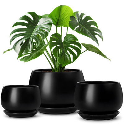 TYHPOT Ceramic Pot Planter