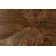 Nova 56.5'' Console Table