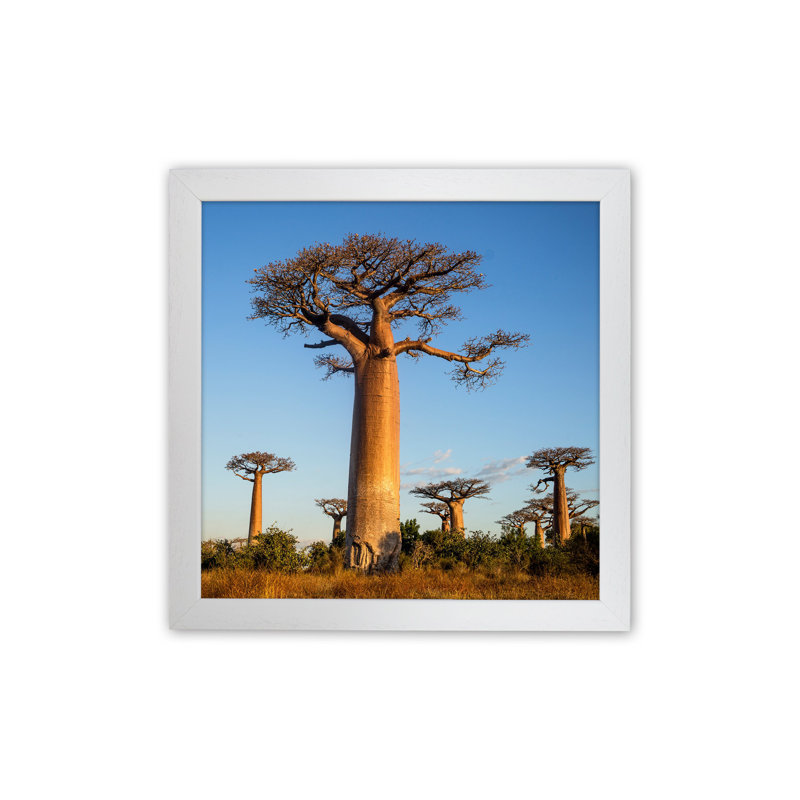 Giants by Karsten Wrobel - Print on Canvas, White Framed, 63cm H x 46cm W x 3cm D