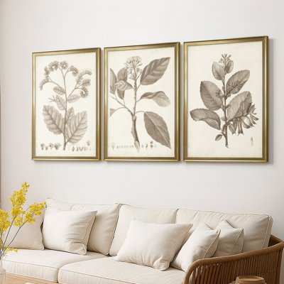 Antique sépia botanicals iv - Toile tendue avec châssis sur mesure - 3 pièces