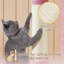 Arbre à chat 33 "Mcquiston-1126609182
