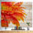 Orange Gerbera With Raindrops " Orange Gerbera With Raindrops "-944774784
