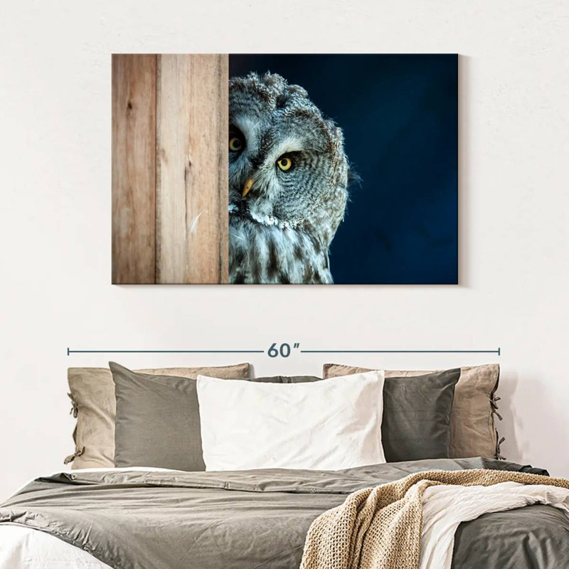 Peeking Owl - impression sur toile tendue, H 32 po x l 48 po x P 1,25 po