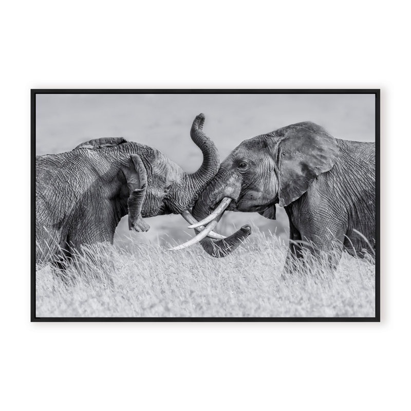 Nature Inspired Elephant Tai Chi by  - Picture Frame Photograph on Paper, 32" H x 48" W x 2.375" D, Framed Canvas, White