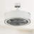 14'' Ceiling Fan with LED Lights