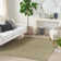Aadhav Indoor / Outdoor Rug