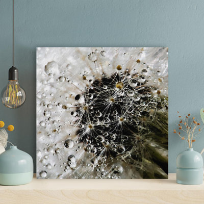 «White Flower With Water Drops», reproduction d'art rectangulaire sur toile tendue 1 pièce