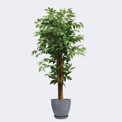 Pots à plantes ronds artificiels avec plateau en ficus artificiel et résine