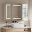 96mm W 60mm H Frameless Medicine Cabinet Mirror Fixed