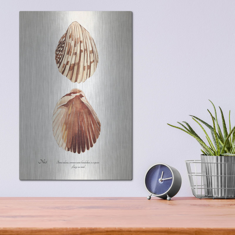  «Sienna Shell Collector 1» par Annie Warren, art mural en métal, 12 po x 16 po, H 16 po x l 12 po