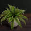 Plante artificielle de 18 po de hauteur