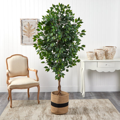 72'' Faux Ficus Tree in Cotton Planter
