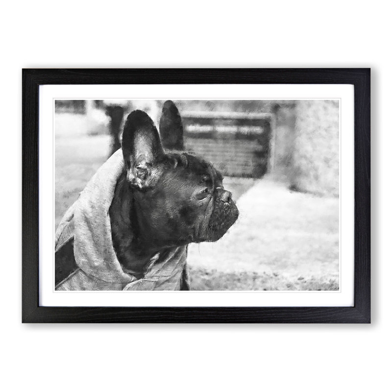 French Bulldog Vol.2 - Picture Frame Graphic Art, Black Framed, 27cm H x 36cm W x 2cm D