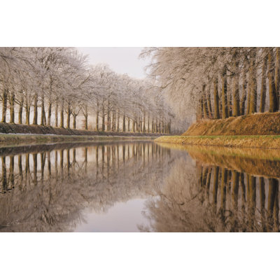 Reflets givrés