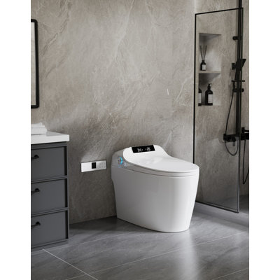 Elongated Smart Bidet Toilet with Heated Seat, Bidet Wash & Air Dryer, Soft Closing,Touchless Flush, Night Light (Remote Included)