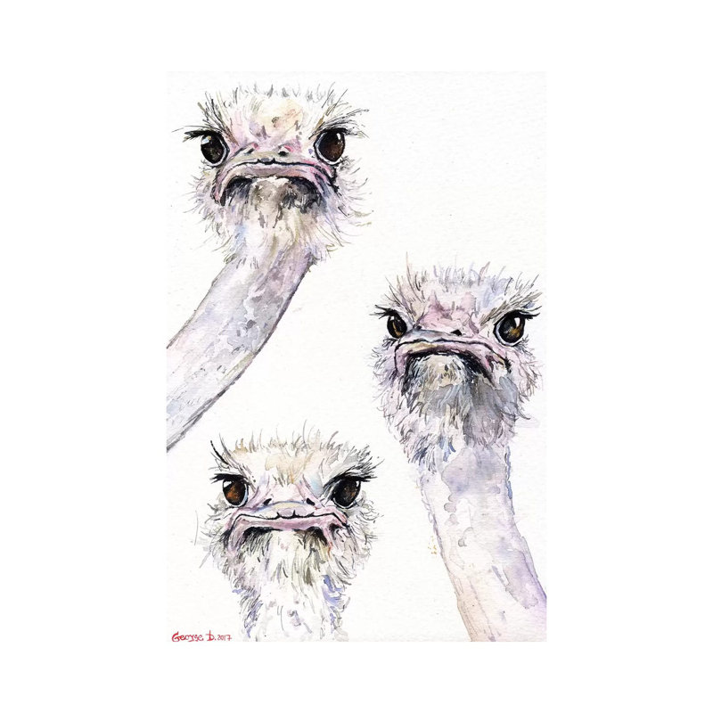 Ostriches by George Dyachenko - Wrapped Canvas Print, 20.32 cm H x 30.48 cm W