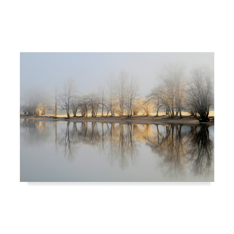 "Le matin de janvier" par Bor - reproduction de photo sur toile, H 16 po x l 24 po x P 2 po