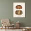 «Rosecliff Heights», art sur toile tendue, tortues antiques et coquillages III-987100526