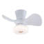 Ventilateur de plafond à DEL 22 po