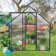 Polycarbonate Heavy Duty Aluminum Frame Greenhouse With Ventilation And Rain Gutter Walk-in Green House for Sunroom Patio Backyard