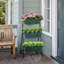 Jardin vertical Cailidh-995686259