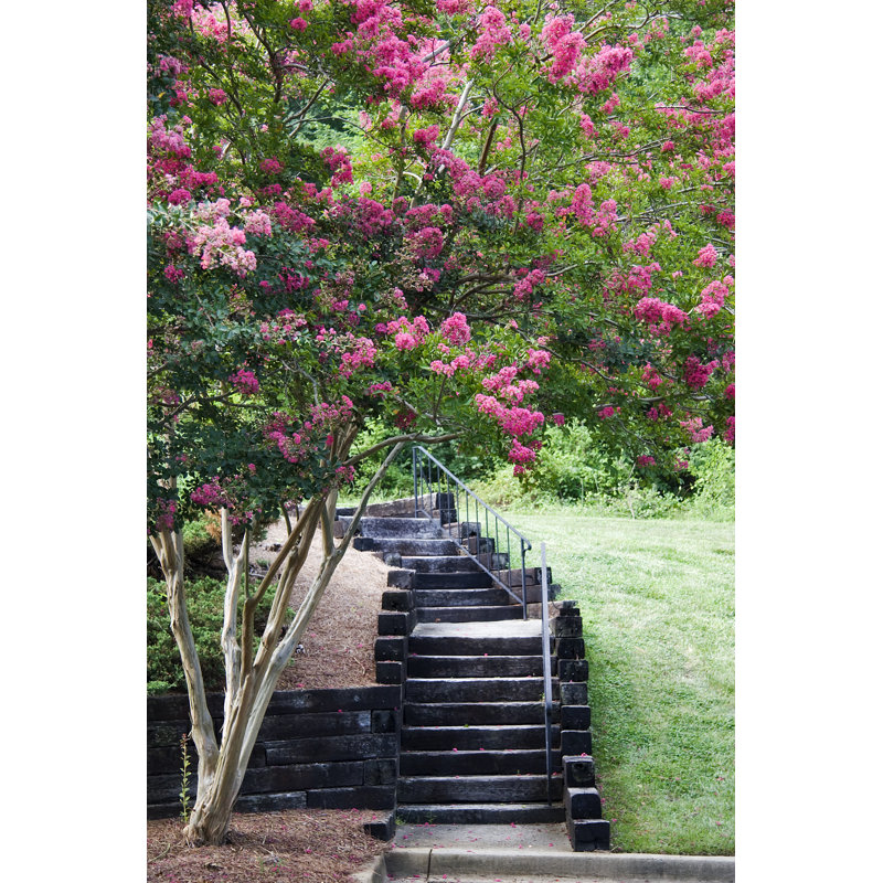 Condominium Steps by JillLang - Wrapped Canvas Print, 46cm H x 30cm W x 3.8cm D	