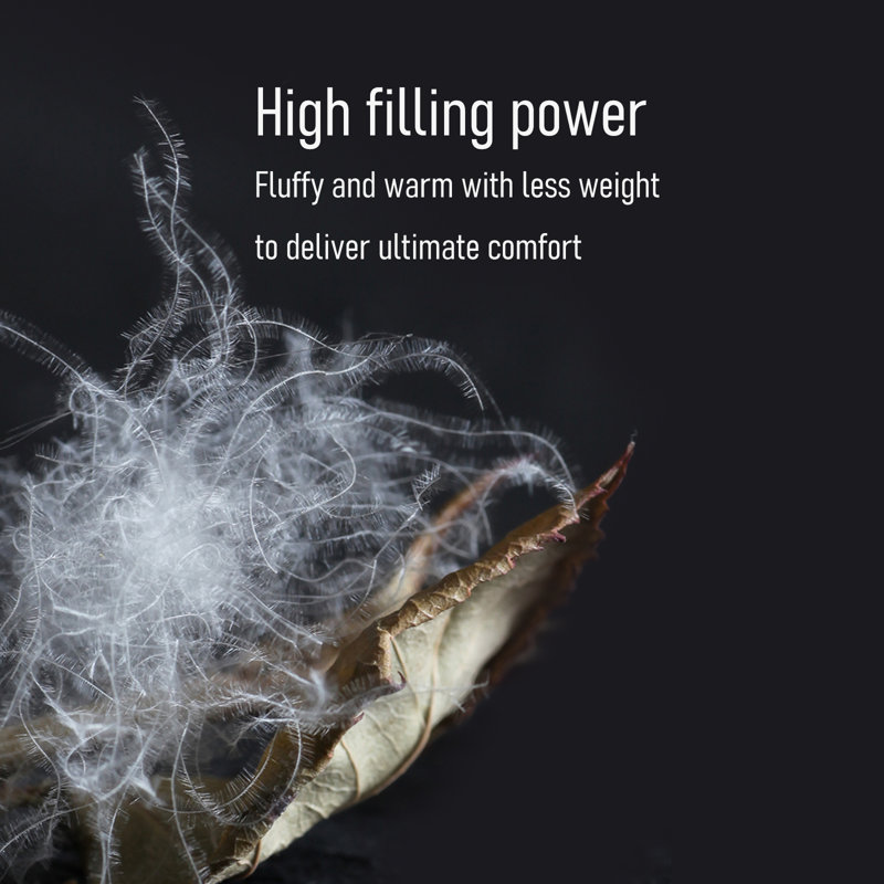 Iceland 725 Fill Power Winter Goose Comforter, Queen (40 oz)