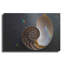  «Sacred Geometric Nautilus Shell» par Elena Ray, art mural en métal, 24 po x 16 po