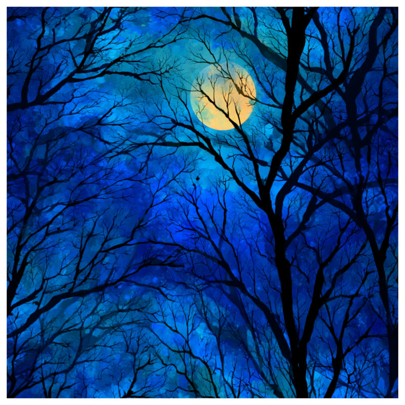 Housse de couette Moonlit Trees Bedding, Grand lit