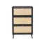 12 Pair Shoe Storage Cabinet