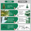 Arbre de Noël à charnière plein 4 pi PVC + PE vert avec support en métal 4 pi-424524965