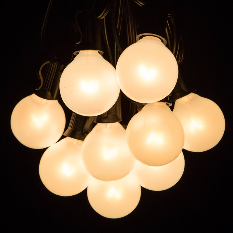 Dadiva Outdoor 25 - Bulb 25'' Plug-in Globe String Light, Black