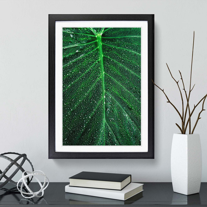 Dewdrops upon a Green Leaf in Abstract - Picture Frame Graphic Art Print, 65cm H x 48cm W x 2cm D, Black Framed