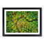 Road Through the Forest - Framed Print-56758793-56758794