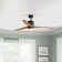 Hover 60"  3 - Blade LED Propeller Ceiling Fan with Wall Control and Light Kit Included