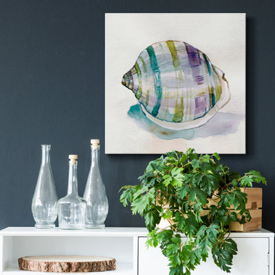 Malecon Shell III - Wrapped Canvas Print