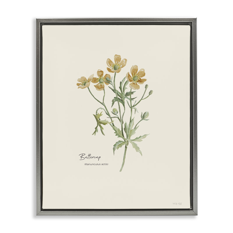 «Simple Buttercup Flowers» par Cindy Jacobs, Cadre flottant gris lustré, H 21 po x l 17 po