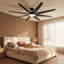Ventilateur de plafond 8 pales avec lumières App Control
