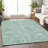 Machine Washable Indoor/Outdoor Xhevrie Teal Rug-1875169805