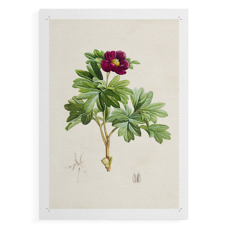 «Pretty Pink Botanicals III», impression sur toile seulement - non encadrée, H 36 po x l 24 po