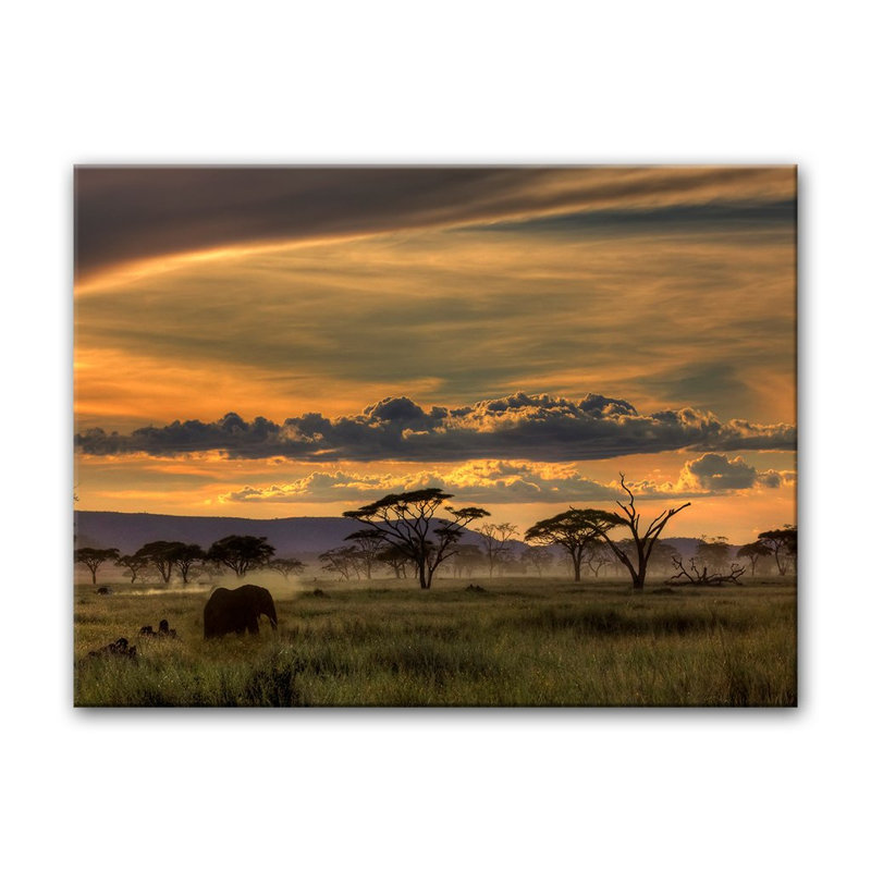 « africa »-reproduction de photo sur toile tendue, H 12 po x l 16 po