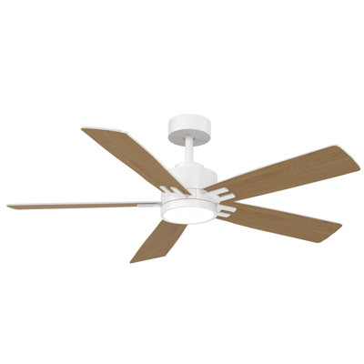 5-Blade Smart Ceiling Fan with Dimmable Light, DC Motor & Dual-Finish Blades