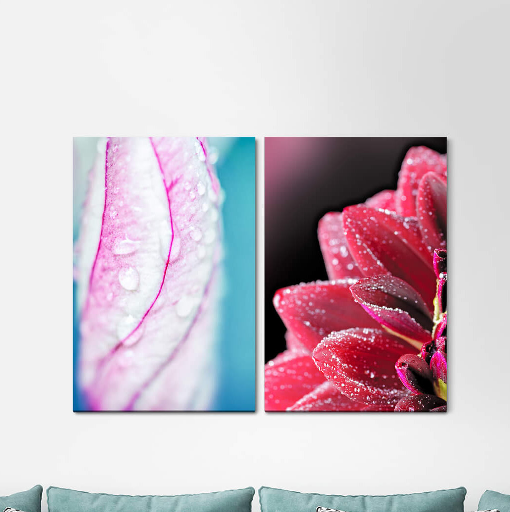 2-tlg. Leinwandbilder-Set - Grafikdruck „Orchid Zinnias Flowers Blossoms Red”