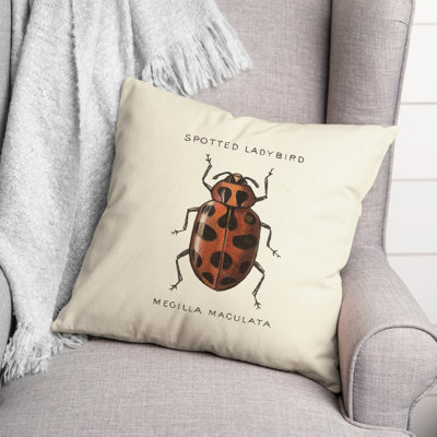  Ladybug Diagram Square Pillow Cover & Insert