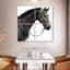 Cheval espagnol gris Brampt-109112209