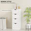 Freestanding Bathroom Cabinet