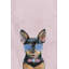 «Astounding Dog», reproduction sur toile tendue-1089533977